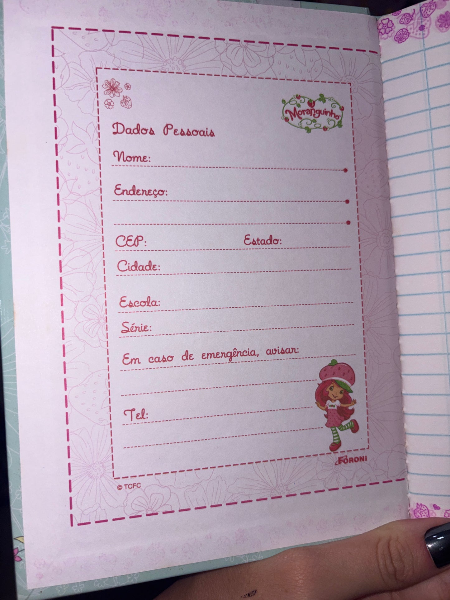 MINI CADERNO BROCHURA MORANGUINHO 48 folhas