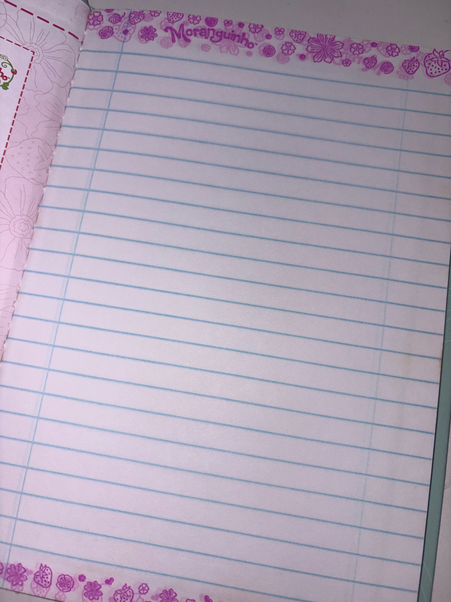 MINI CADERNO BROCHURA MORANGUINHO 48 folhas