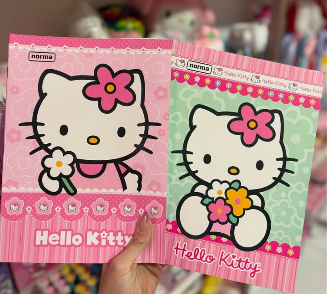 CADERNO VINTAGE BROCHURA CAPA MOLE HELLÔ KITTY