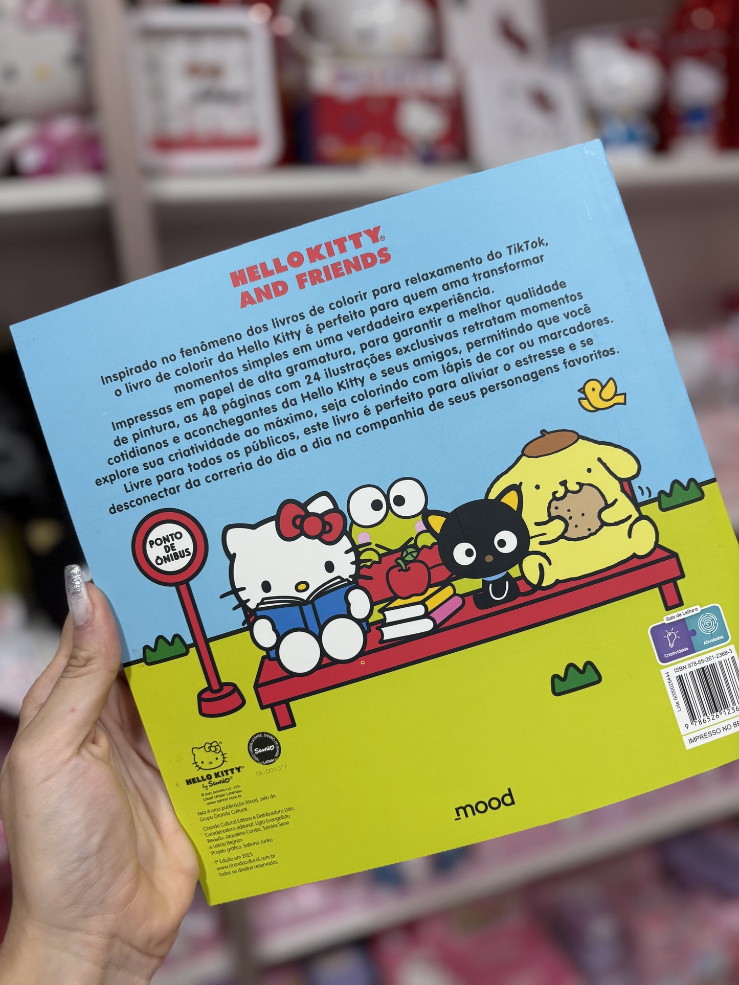 LIVRO DE COLORIR HELLO KITTY E AMIGOS