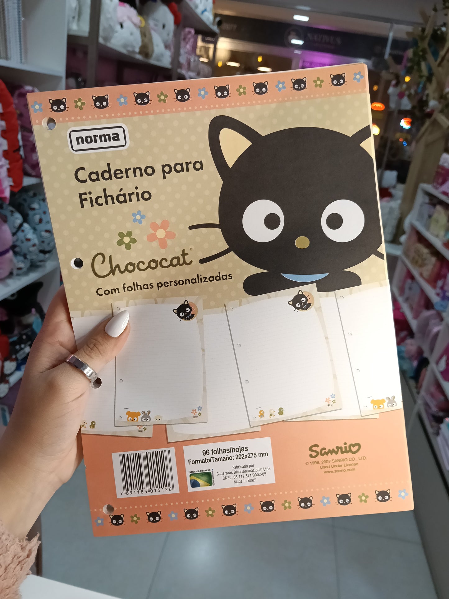 FOLHAS DE FICHARIO VINTAGE HELLO KITTY, MORANGUINHO, CHOCOCAT