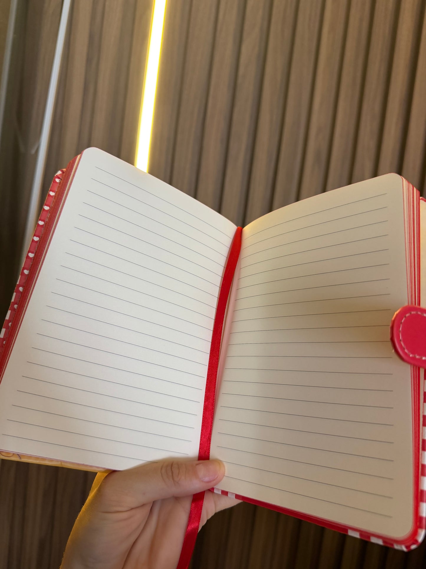 AGENDA HELLO KITTY CAPA EM IMÃ