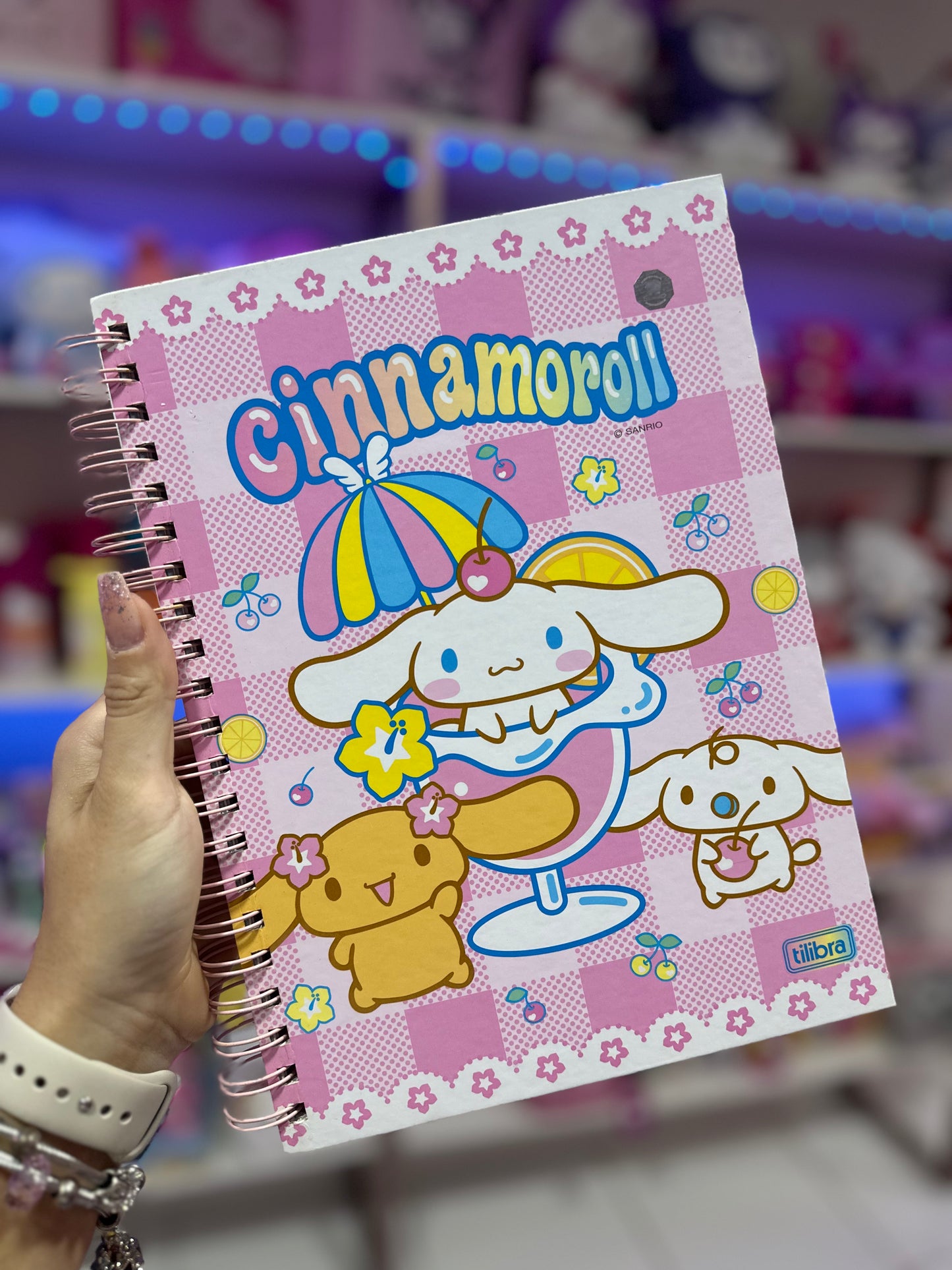 CADERNO CINNAMORROL