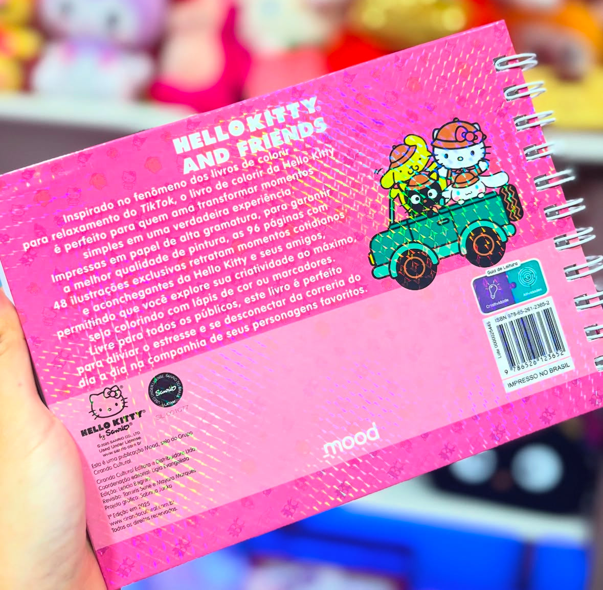 LIVRO DE COLORIR SANRIO E AMIGOS